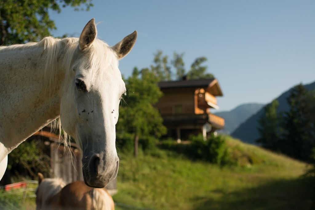 Hotel Ferienhaus Oetztal Sautens Exterior foto