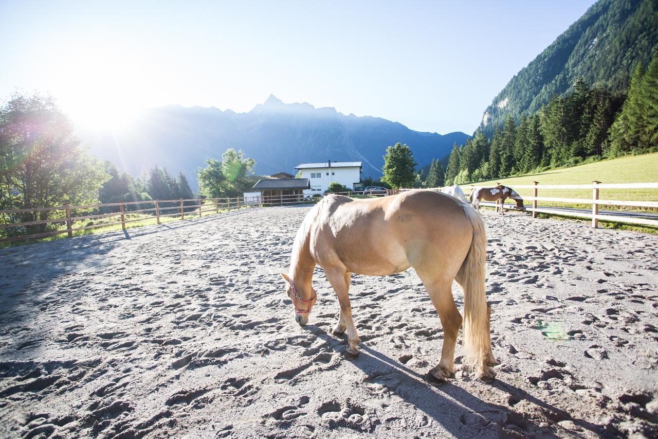 Hotel Ferienhaus Oetztal Sautens Exterior foto